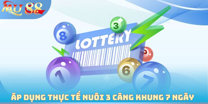 Áp dụng thực tế nuôi 3 càng khung 7 ngày