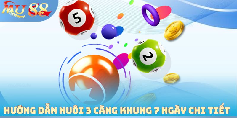 Hướng dẫn nuôi 3 càng khung 7 ngày chi tiết