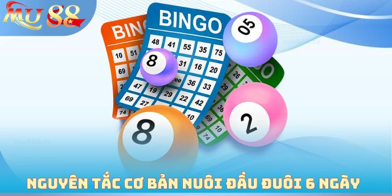 Nguyên tắc cơ bản nuôi đầu đuôi 6 ngày
